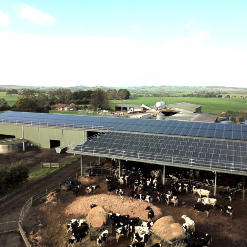 Reducing costs for one of the world’s largest carbon-neutral dairy farms