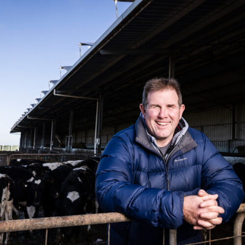 Battery-powered milk delivers positive returns for farm